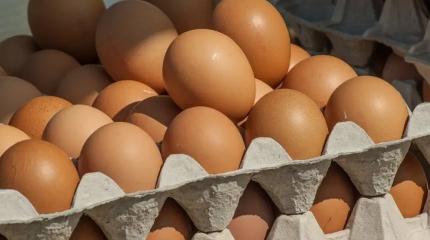 Птицефабрики на грани банкротства: яйца готовятся взлететь в цене