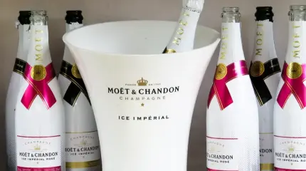 Французы без шампанского: парализована работа 26 винных компаний