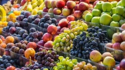Продукты на вес золота: в РФ предупредили о скачке цен на ягоды и фрукты Продукты на вес золота: в РФ предупредили о скачке цен на ягоды и фрукты