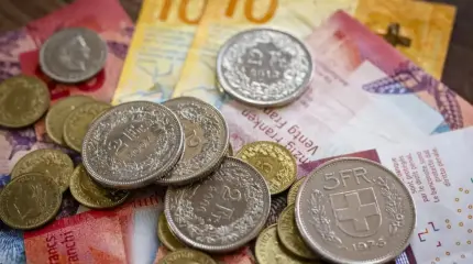 Швейцарский прецедент. Строительство «цифрового концлагеря» остановлено?