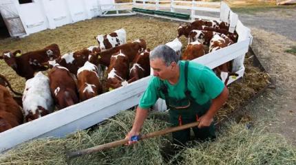 Фермеров предупредили: Год будет тяжелым, денег в бюджете нет