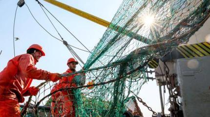 Британских рыбаков будем гнать из Баренцева моря в шею