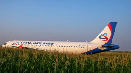 «Пролетай, птица»: МАК раскрала правду о самолёте на кукурузном поле