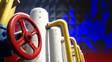 Навоза не хватит: Украина потерпит фиаско в попытке заместить импорт газа