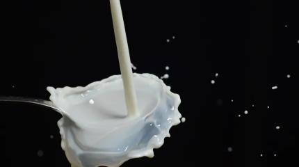 В России могут ужесточить ответственность за фальсификацию молочных продуктов В России могут ужесточить ответственность за фальсификацию молочных продуктов