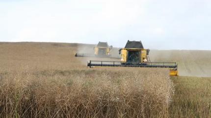 Убийство с/хозяйства: в РФ раскрыли причины обвала продаж сельхозтехники Убийство с/хозяйства: в РФ раскрыли причины обвала продаж сельхозтехники