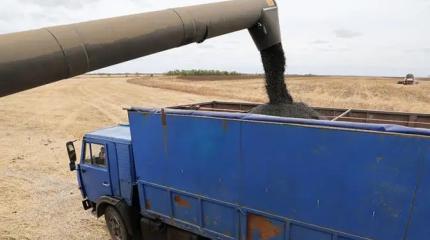 Конфликт в Иране — это семечки. Кто выиграет от роста цен на продовольствие