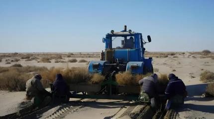 Мелиорация вместо переброски рек: реальный путь решения проблемы Арала