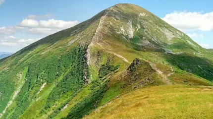 Украина стала «лысой» и задыхается, но зато «рекордные прибыли»