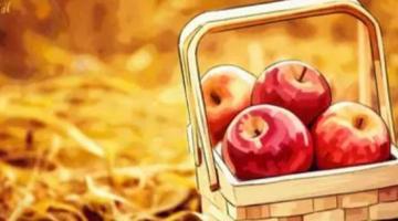 Польша возмущена намерениями России начать экспорт яблок