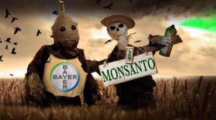 Bayer купил Monsanto: Крупнейшая сделка в истории мирового агробизнеса