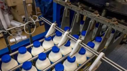 Инфляция толкает в голодовку: россияне стали отказываться от молочки