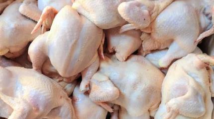 Эпоха доступного мяса бройлеров в РФ подходит в концу