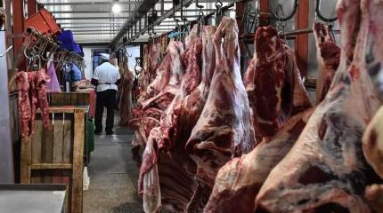 «Дальний» мясной импорт в ЕАЭС пока, увы, выгоднее кооперации стран союза