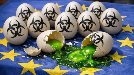 В украинских яйцах обнаружены следы антибиотиков и пестицидов