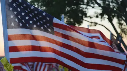 Туалетная бумага может приблизить революцию в США и вынос Трампа