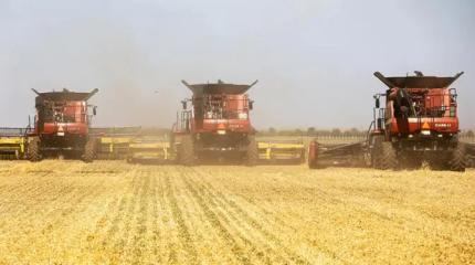 Прощай, урожай! Из-за проблем с топливом может случиться непоправимое