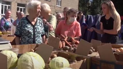 Пытаются снизить цены: в ДНР повсеместно проходят продовольственные ярмарки