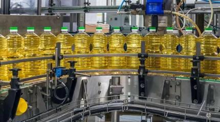 Новая Россия будет строить новый завод и выводить новые сорта семян