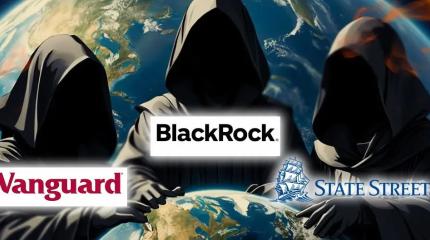 BlackRock, Vanguard и State Street. Бизнес, построенный на крови