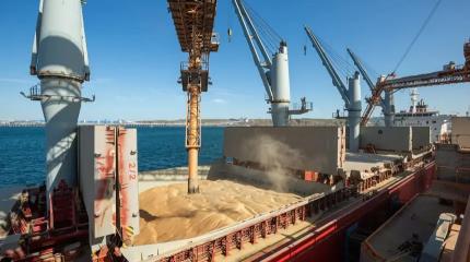 Россия и глобальная торговля зерном: что изменилось и чего ждать в 2026 г.