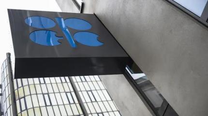 ОАЭ выходят из ОПЕК. Казахстан на очереди. РФ пытается понять, что делать