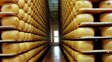 TPR: Россия огорчила плохими новостями производителей сыров из Польши