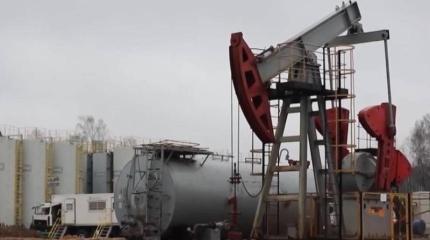 Кто сегодня закупает российскую нефть