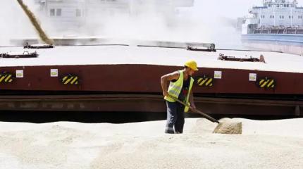 «Ця пшеныця наша!»: Украина обвинила Израиль в скупке «украденного» зерна