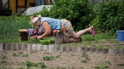 Жесткие ограничения для дачников: в ГД готовят неприятный сюрприз садоводам Жесткие ограничения для дачников: в ГД готовят неприятный сюрприз садоводам