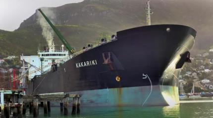 Необходимо срочно избавиться: хранилища США «отравились» венесуэльской нефтью