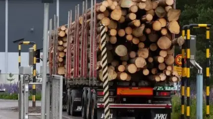 Экономический кризис: финские лесопилки оказались на грани банкротства