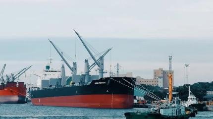 Огромные потери: в Литве раскаялись в отказе транзита белорусских удобрений