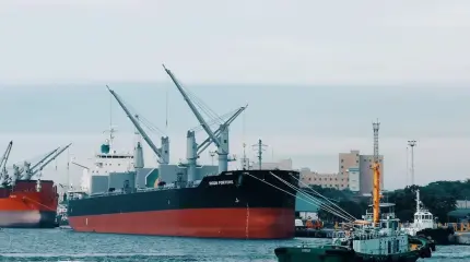 Огромные потери: в Литве раскаялись в отказе транзита белорусских удобрений