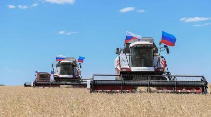 Новая Россия собирает урожай и наращивает производство