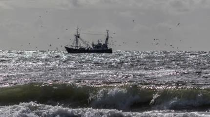 Россия отомстит Норвегии за притеснение своих рыбаков к концу года Россия отомстит Норвегии за притеснение своих рыбаков к концу года