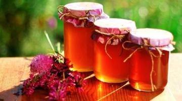 Малиновый мед может спасти от краха экономику Украины