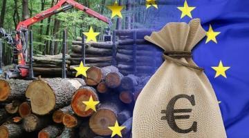 Брюссель – Киеву: хотите в ЕС – отдавайте лес-кругляк!