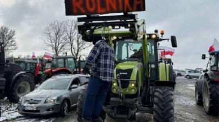 Война поляков с украинским зерном: в ход пошли бензопилы