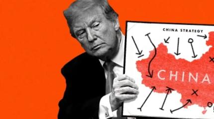 Трамп летит в Китай не один: стало известно о "большом разговоре"