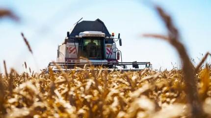 В битве за урожай нефтяники готовы разгромить фермеров
