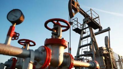 Погонятся ли за нефтью российские цены на бензин