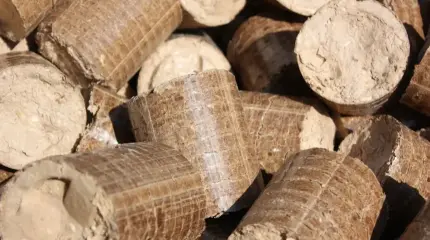 ЕС беден даже на отходы: в Латвии дефицит отопительных брикетов