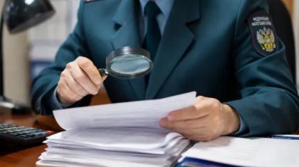 ФНС закрутила гайки: число налоговых дело взлетело до максимума за 12 лет