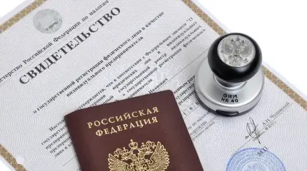 Полная ликвидация ИП и самозанятых: к чему готовиться россиянам