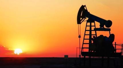 Япония планирует отказаться от нефти и газа из России, Саудовской Аравии и других поставщиков к 2050 году