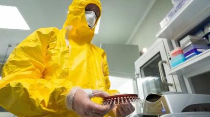 Новосибирская «живодерня» так ничему и не научила?