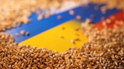 Как остановка зерновой сделки обрушит экономику Украины