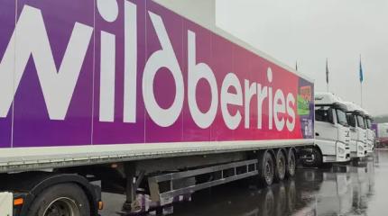 Почему удары по Wildberries – не конец маркетплейса