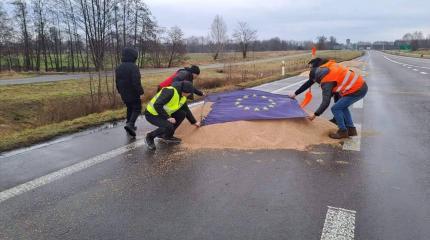 Российское зерно в Европе: ЕС перекладывает с больной головы на здоровую